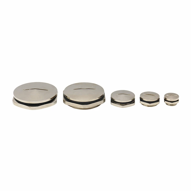 Brass Dome Plug PG Thread
